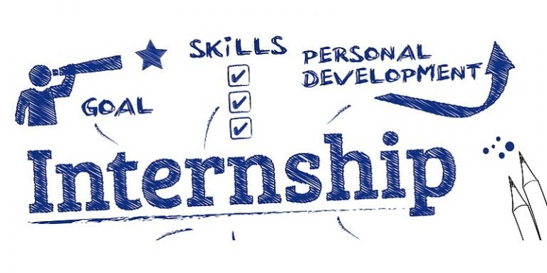 Online Internship