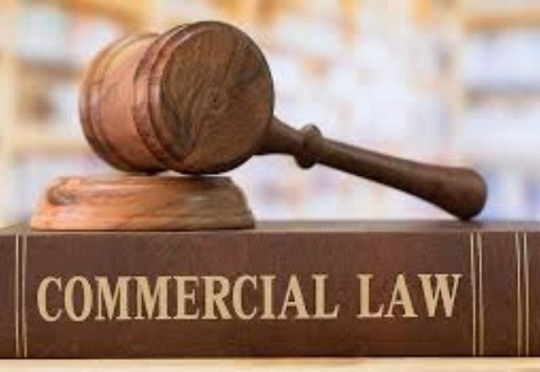 Two Day Workshop on Commercial Laws- Register Now!