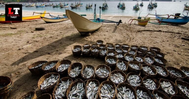 Fisheries and Aquaculture in the Indian Legal Framework